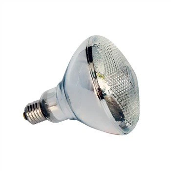 Lämpölamppu sioille