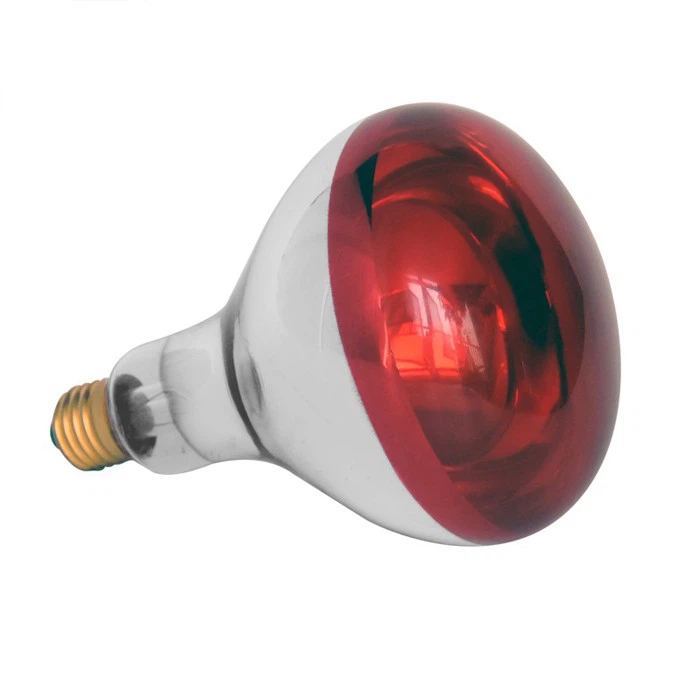 275w Heat Lamp